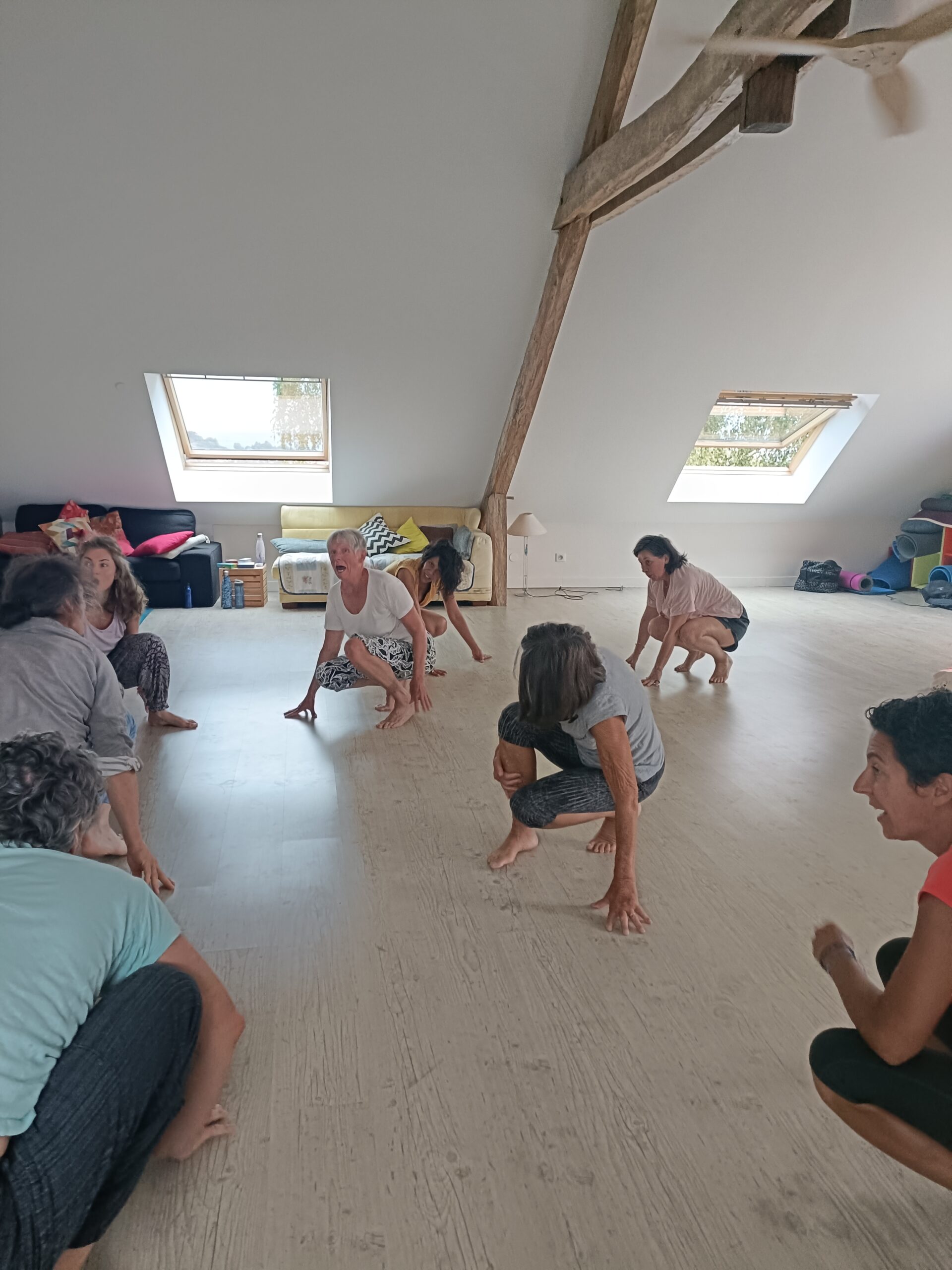 stage été, danse biodynamique, juste être soi, évasion, respiration, rythme, mélodie, thérapie corporelle, créativité, groupe, bienveillance, partage, découverte, nature, racine perchée