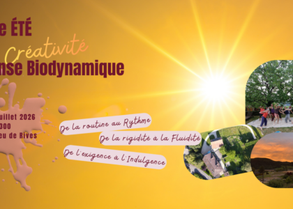 stage été, danse biodynamique, créativité, relâcher, s'évader, bouger librement, respirer, pause pour soi