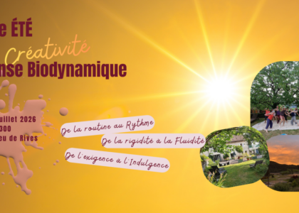 stage été, danse biodynamique, créativité, relâcher, s'évader, bouger librement, respirer, pause pour soi