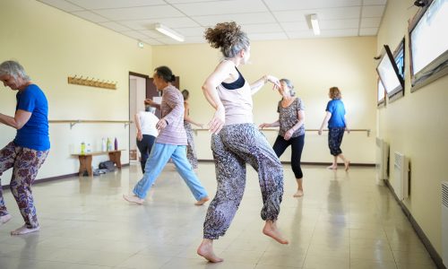 atelier, danse biodynamique, atelier adulte, atelier à thème, valencin, nord isère, danse, bourgoin jallieu, lyon, vienne, l'isle d'abeau