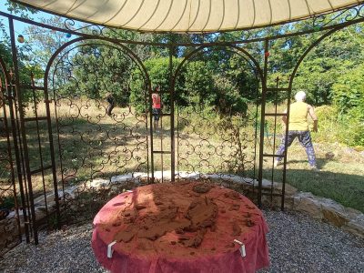 IMG20260719103229
