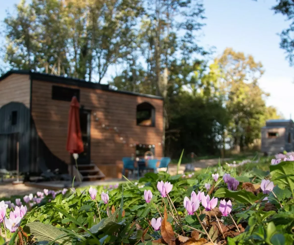 refuge insolite en bugey, stage, été, 2027, danse biodynamique, nature, balade, spa, massage, profiter