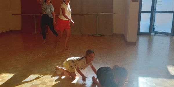 atelier privé enfants, danse biodynamique, carte cadeau, famille