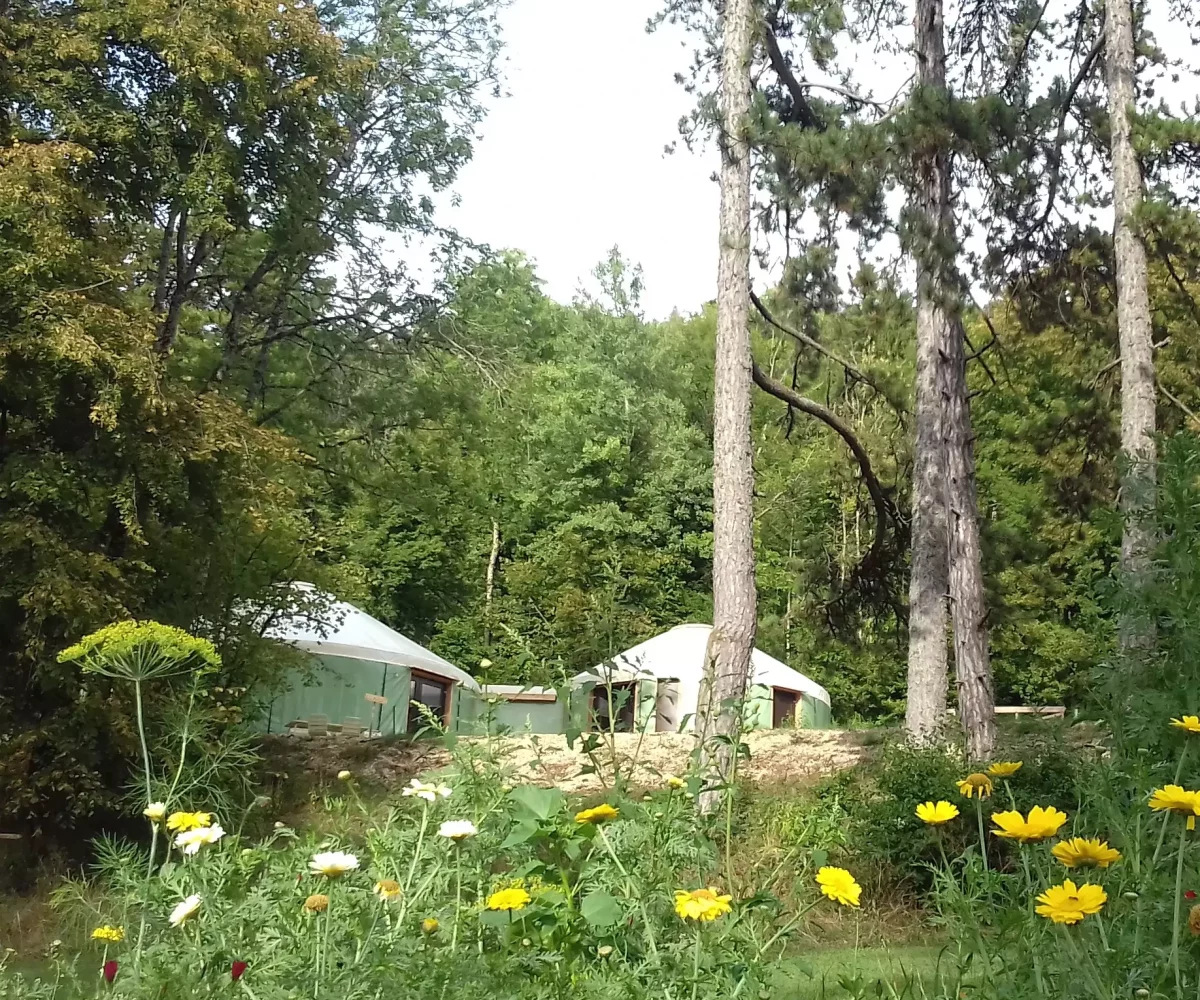 refuge insolite en bugey, stage, été, 2027, danse biodynamique, nature, balade, spa, massage, profiter